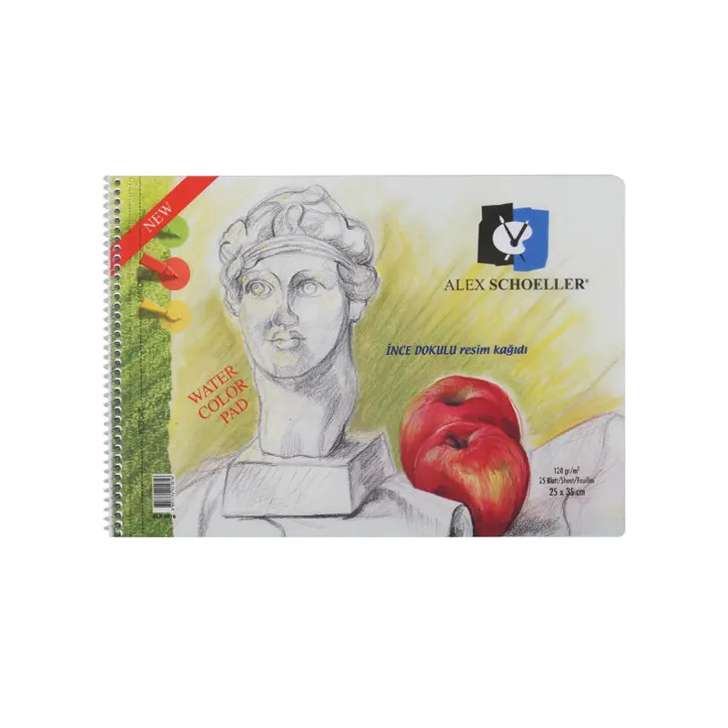 Alex Schoeller 826 Spiralli Resim Defteri 15 Yaprak 25x35cm 120 Gr.