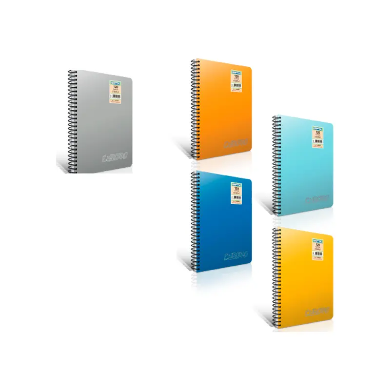 Gıpta 1343 Chromo Spiralli Plastik Kapak Defter A4 Çizgili 160 Yaprak